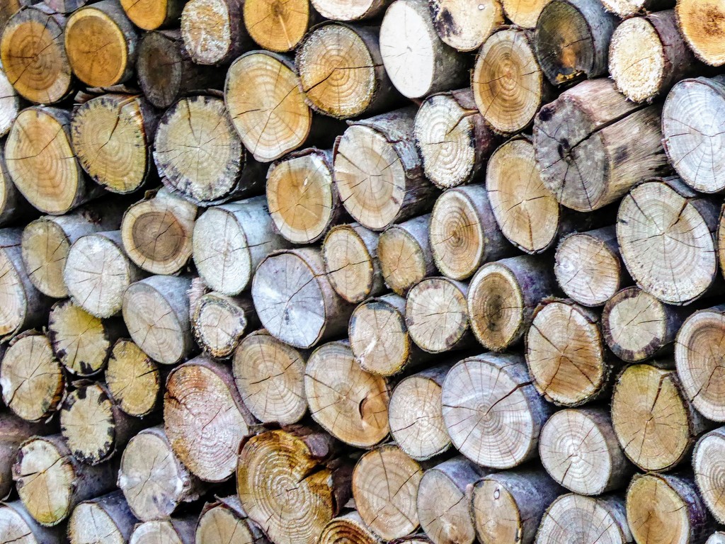 Woodpile by 4rky