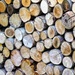 Woodpile by 4rky