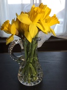 17th Mar 2019 - Spring in my house