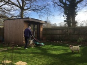 5th Mar 2019 - One Man Went To Mow...