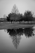 7th Mar 2019 - Black and White Reflection