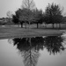 Black and White Reflection by judyc57