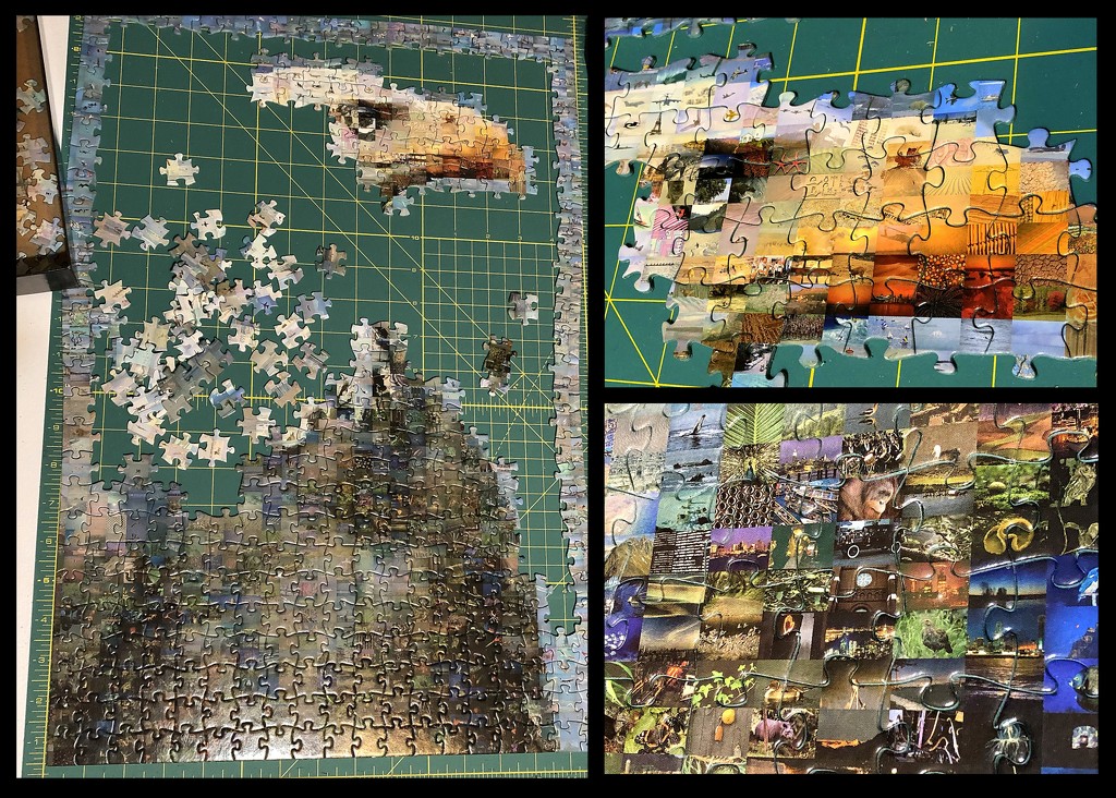 Eagle puzzle by homeschoolmom