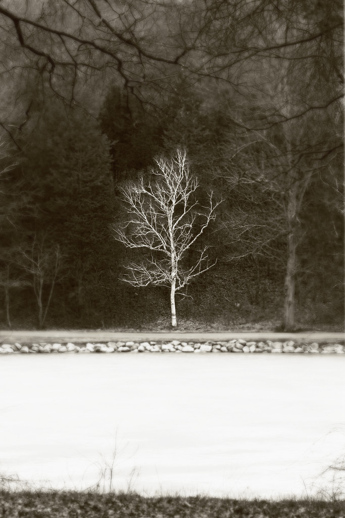Across the Pond by juliedduncan