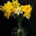 March Flowers by randystreat
