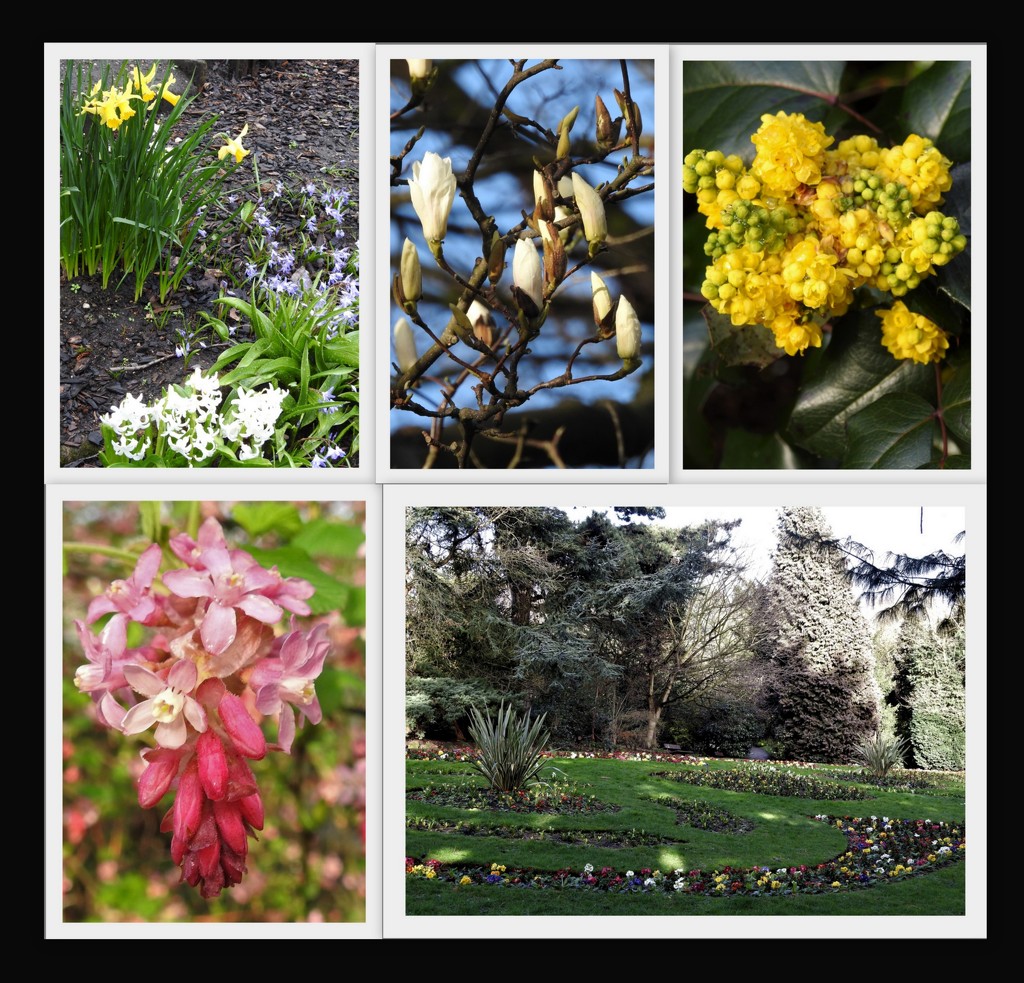 Spring in the Arboretum by oldjosh