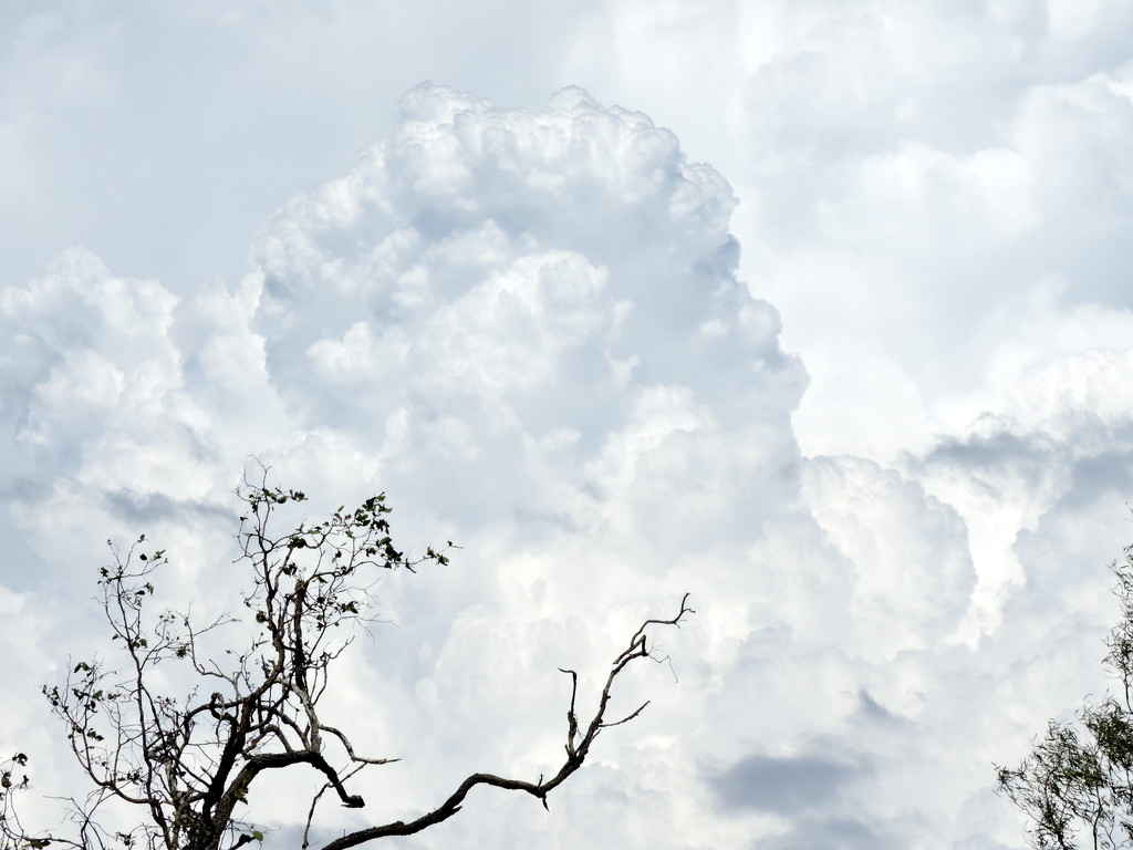 Storm Cloud by ubobohobo