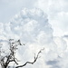 Storm Cloud by ubobohobo