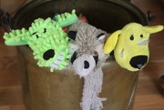 19th Mar 2019 - Well loved puppy toys!