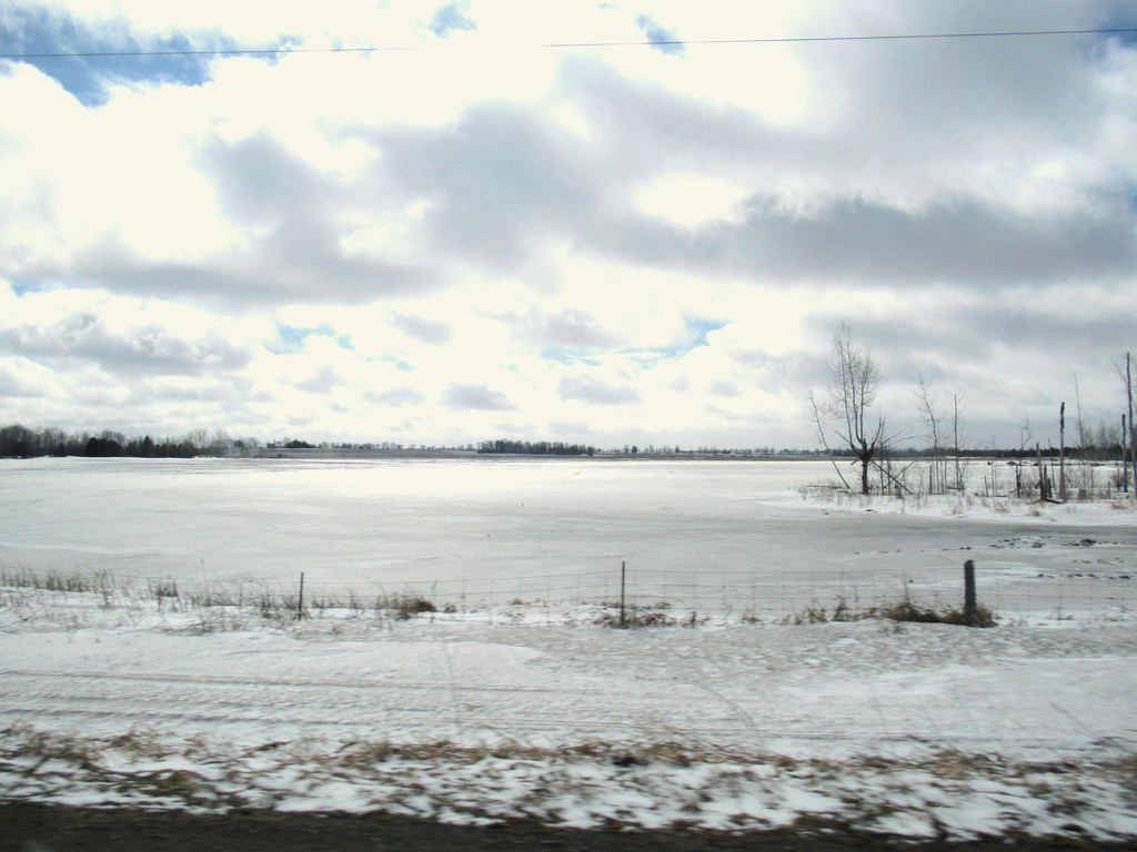 Along the road to Bobcaygeon by bruni
