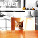 Portrait Of An Orange Cat by yogiw