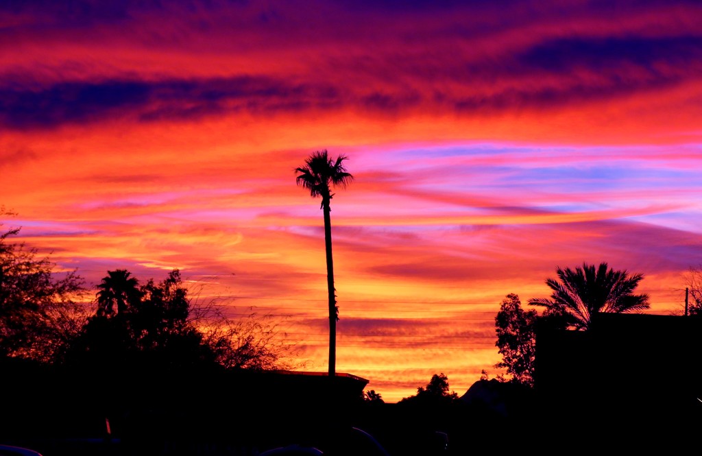 Arizona Sunset by lynnz