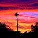 Arizona Sunset by lynnz