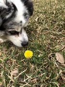 16th Mar 2019 - Stop & Smell the Flowers