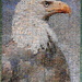 Eagle puzzle complete by homeschoolmom