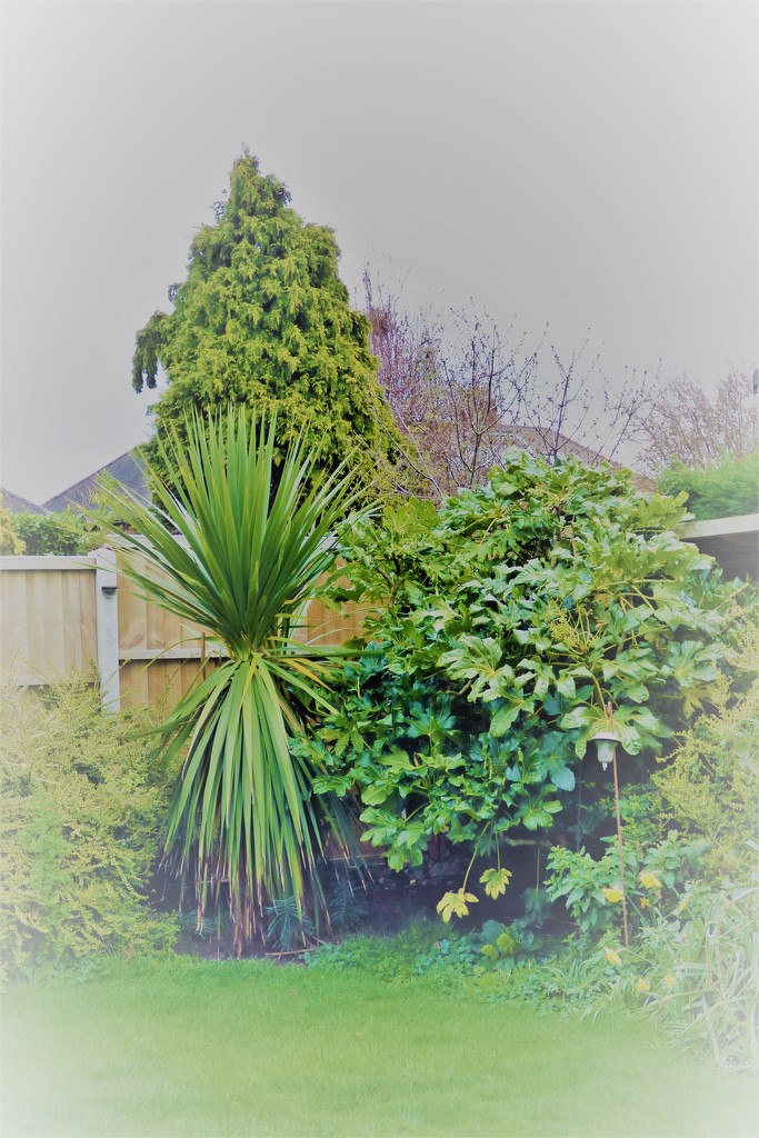 Green in the garden  by beryl