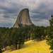 Devil's Tower, 2017 by swchappell