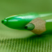 Green pencils by yorkshirekiwi
