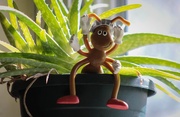 21st Mar 2019 - There's an ant in my green plant