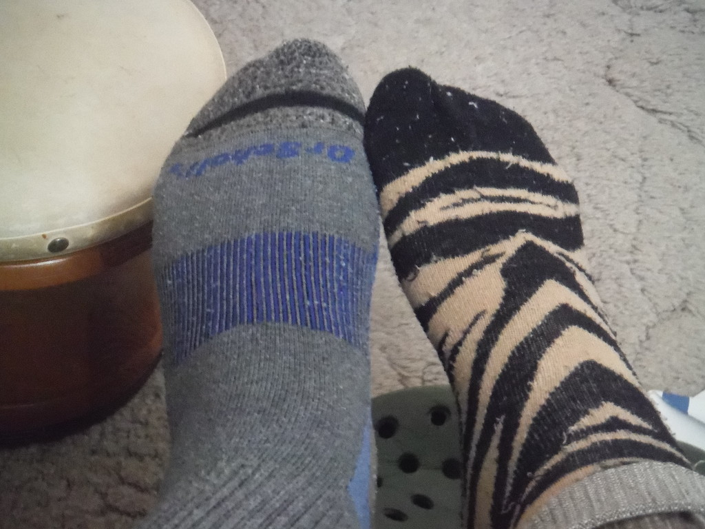 Odd Socks by spanishliz