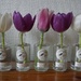 Spring in little gin bottles  by sarah19