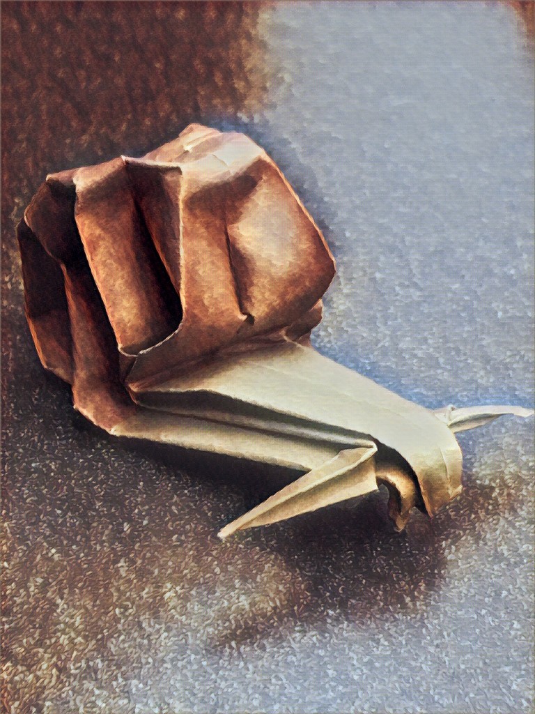 Snail: Origami  by jnadonza