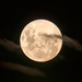 Full Moon by ludwigsdiana