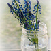 Jar Bouquet by gq