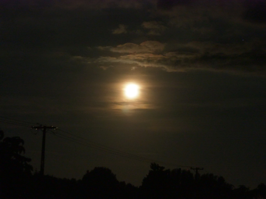 Tonights rising moon , I liked the way light caught on clouds and on the power pole by Dawn