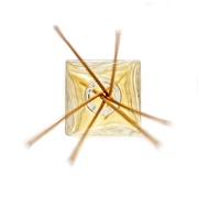 22nd Mar 2019 - Reed Diffuser