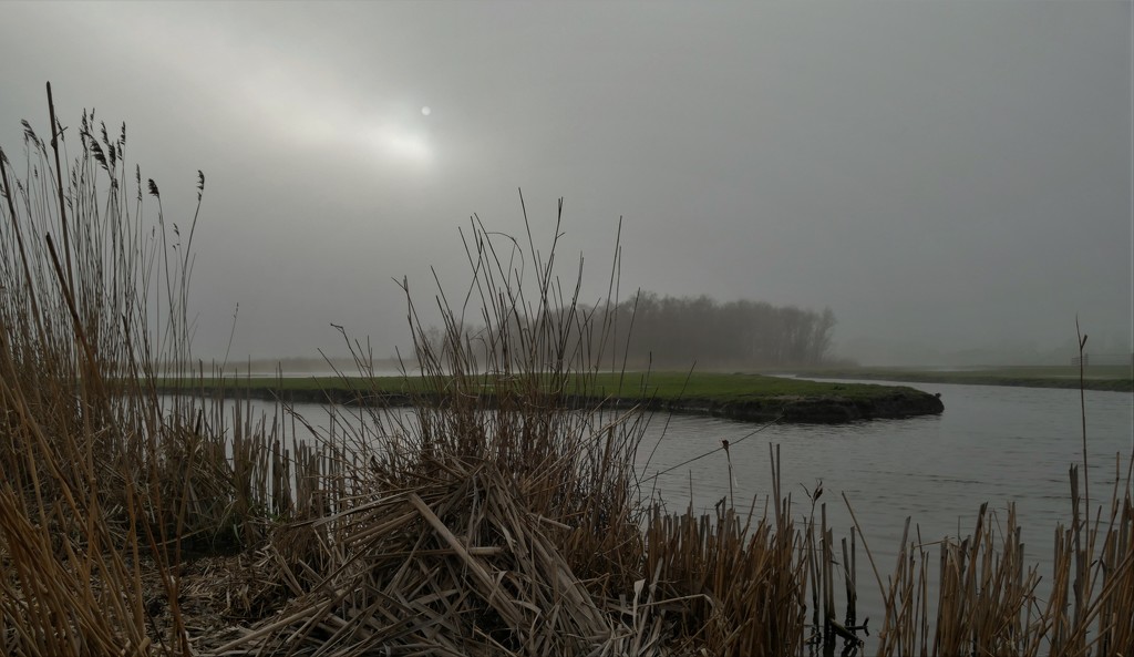 fog and sun over the polder by marijbar