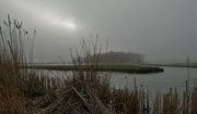 22nd Mar 2019 - fog and sun over the polder
