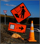 23rd Mar 2019 - Road works humour