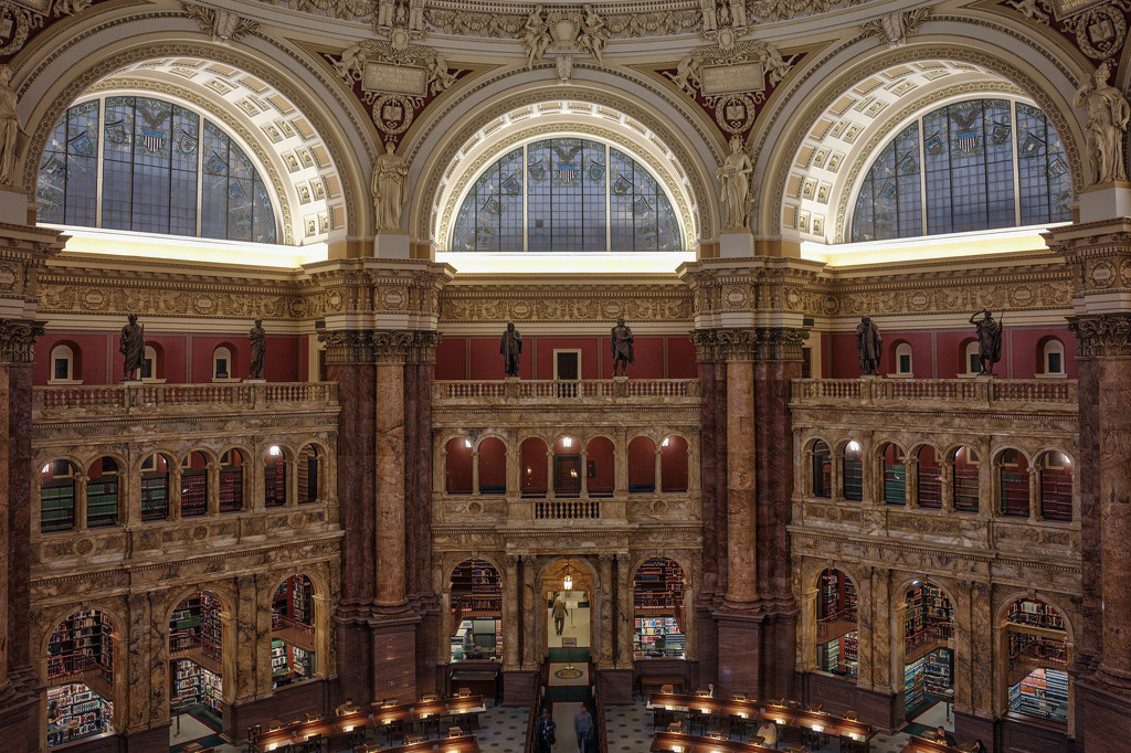 In the Library of Congress by taffy