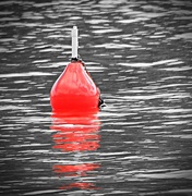 19th Mar 2019 - Orange buoy