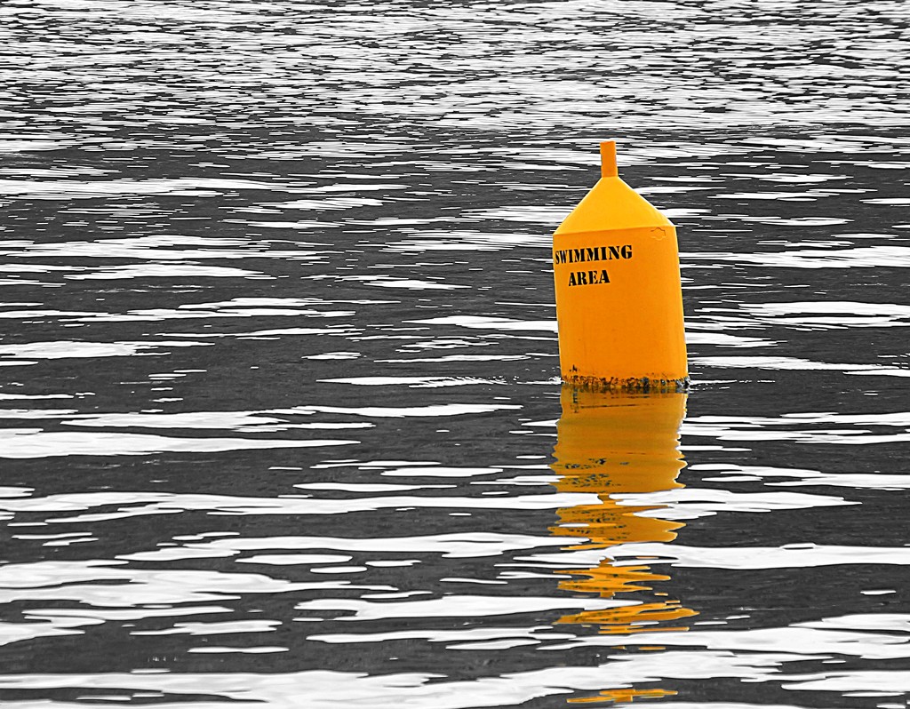 Swimming around the yellow buoy by kiwinanna