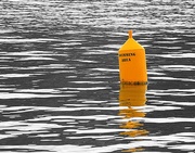 20th Mar 2019 - Swimming around the yellow buoy