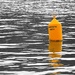 Swimming around the yellow buoy by kiwinanna