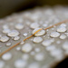 droplets by ulla