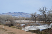 23rd Mar 2019 - Horse Property In The bosque.