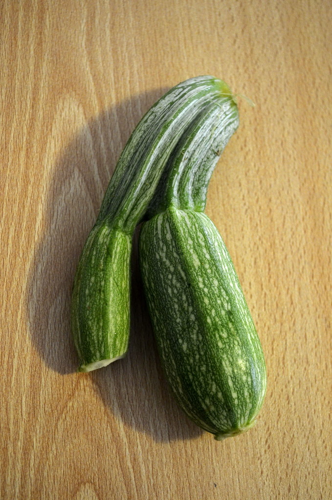 24 - twin zucchini by louloubou