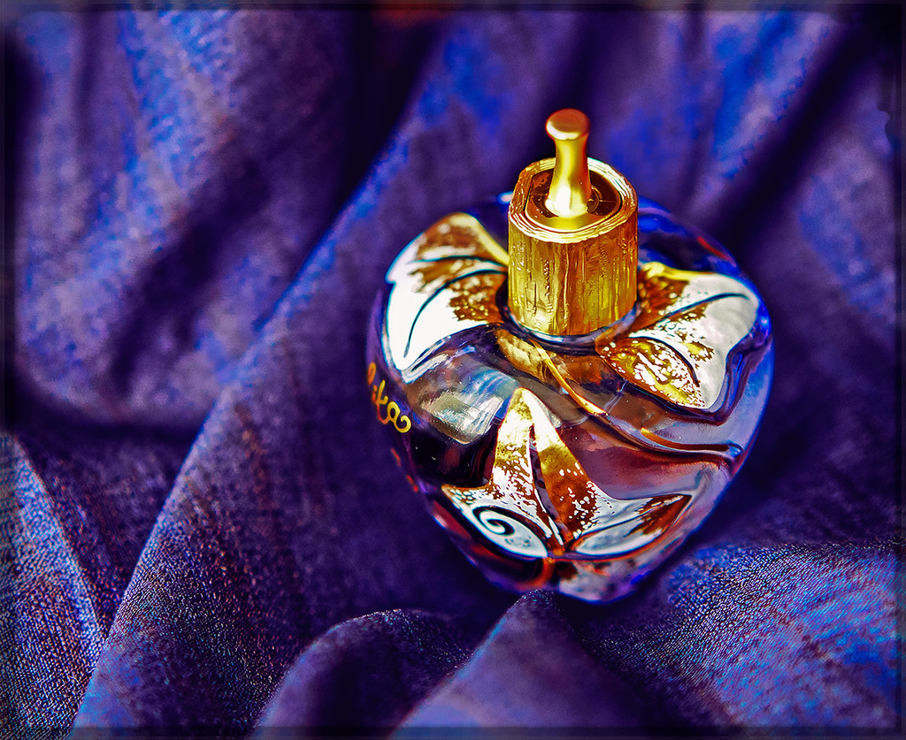 Indigo Silk and Perfume by gardencat