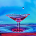 Water Martini, Anyone? by lynne5477