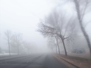 23rd Mar 2019 - Foggy Morning 