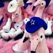 A Flamboyance of Flamingos by louannwarren