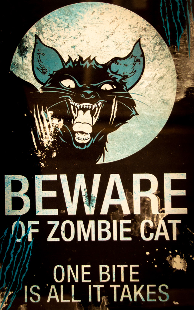 Zombie cat by swillinbillyflynn