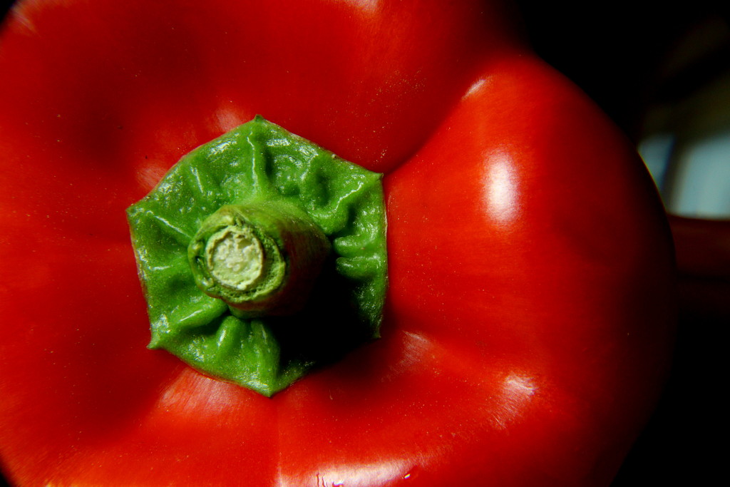Day 83:  Red Pepper by sheilalorson