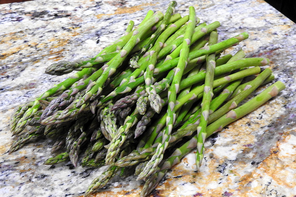 Young spring asparagus by homeschoolmom