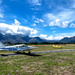 Stellenbosch Flying Cub by ludwigsdiana