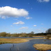 Lackford Lakes, Suffolk by g3xbm